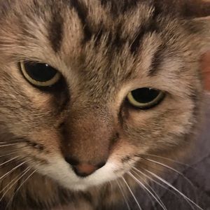 Meet your Posher, Benjamin